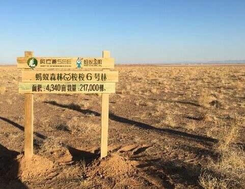 支付宝偷能量种树是什么有什么用 支付宝种树详细介绍