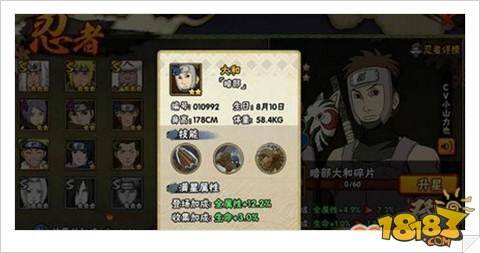 火影忍者手游大和暗部秘卷搭配分析