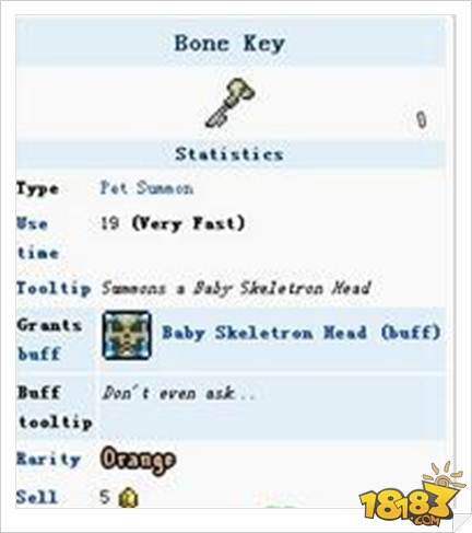 泰拉瑞亚小骷髅头宠物获得方法解析