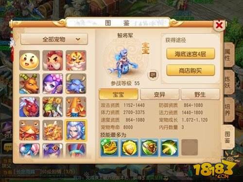 梦幻西游手游55到65级高性价比宠物推荐