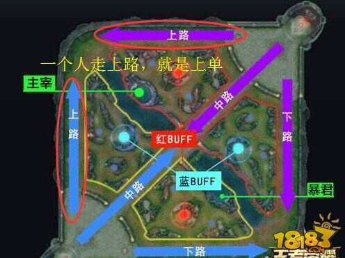 王者荣耀上单是什么意思 王者专业术语大全