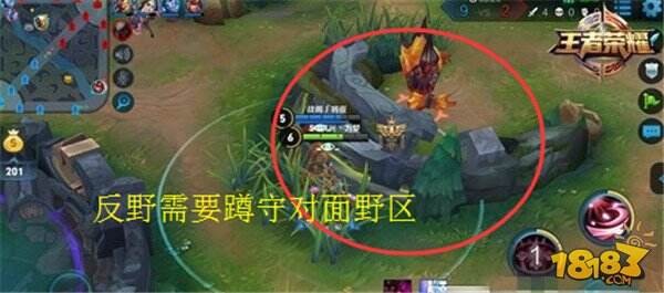 王者荣耀反野是什么意思 王者专业术语大全