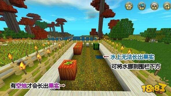 迷你世界南瓜怎么获得 种植南瓜方法