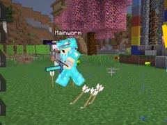 我的世界籽岷解说：神奇宝贝对决