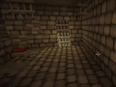 难道我是Michael CH明明的爆笑越狱经历