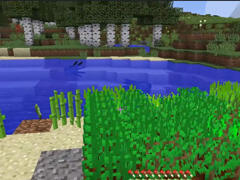 锄禾日当午 籽岷告诉你粮食也能征服大陆