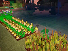 暮云鸡年农场主 蛋生鸡和小麦育种