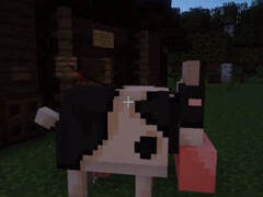 你想要喝牛奶吗 悠然小天爆笑挤奶记