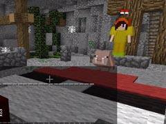 小本神奇宝贝蓝宝石EP9：教你做狗