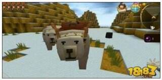 迷你世界怎么驯服冰熊 冰熊需要吃什么