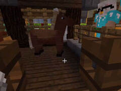 明月莊主暑假海島生存 建造貓狗寒舍