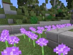 小本神奇寶貝藍寶石 蝸牛仙人