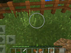 夢(mèng)軒帶你領(lǐng)略方塊星域 開(kāi)啟豬的養(yǎng)殖基地