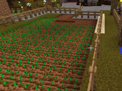 耕地浇水播种 悠然小天开始为来年做准备