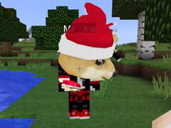 木鱼的神奇宝贝世界 小皮神，进球里来吧