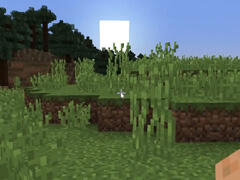 纯正生存能力的考验 籽岷挑战时间陷阱2