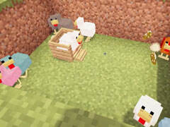 暮云的鸡年农场主 正式开始孵小鸡咯