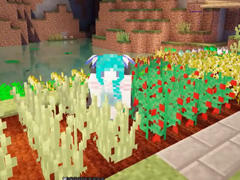 暮云的鸡年农场主 潘马斯的六件套