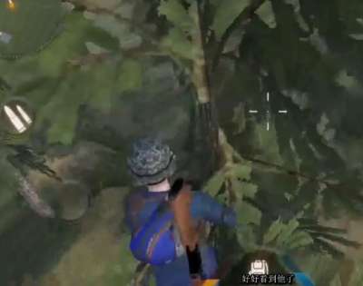 丛林法则终极上树奥秘 视频教学包教包会