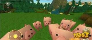 迷你世界养猪方法 快速喂养繁殖攻略