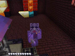 仙仙的神剑创造者世界 戴淑的故事