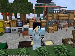 血舞crazy的无人入眠世界 帝皇蜂