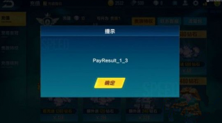 QQɳγֵʾpayresult 1 3ô