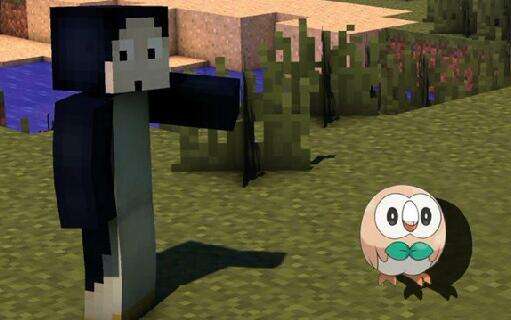 MC版神奇宝贝 呆萌木木枭登场我的世界