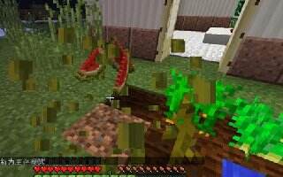 猪人牛魔王逆袭 我的世界火龙空岛生存战