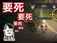 ƽ������ǿBUG��������Ƶ ����һ���˺�