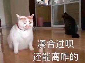 现在的游戏厂商，为了让女人花钱，什么事都做得出来！