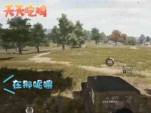 ����Լ���2�� �ֵܣ��������㣡