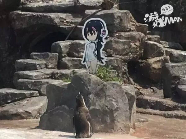 听说你们喜欢和纸片人谈恋爱？然而当老公也要靠实力说话！