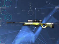 ����ȫ����ʮ��AWM���Դ��ı����ļ�������