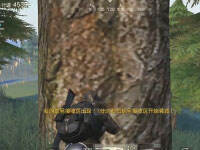 ��Ұ�ж����������ȵ��ճ��Լ���Ƶ