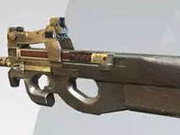 ���ս���2��P90���ǹ���� ���������˺�