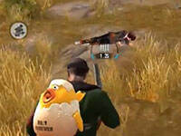 ��佴�ճ��ӵ����ڣ��������һֻ��ǿ�ļ�