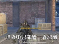 �������� ��Ұ�ж�������ʮ����ʵ����Ƶ