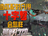 ����С���˵����ƥ����ֻ��ʮ���������