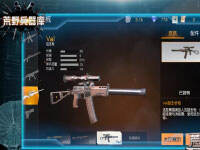 ��Ұ�����⣺�Ƶ�������-Val�ѻ���ǹ