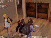 ��Ұ��Цʱ�̣����������ڴ��ϸ����