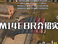 M14EBRʵս���ܣ���������Ҳ���� 8��������ѹǹ