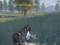 ������˵ ��Ұ������88����17ɱ������