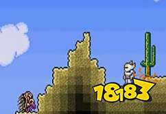 泰拉瑞亚天使之翼属性以及获得方法