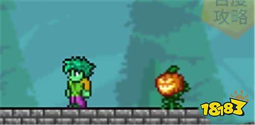 泰拉瑞亚诅咒之火获取方式攻略