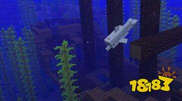 我的世界1.13更新汇总 1.13水域更新早知道