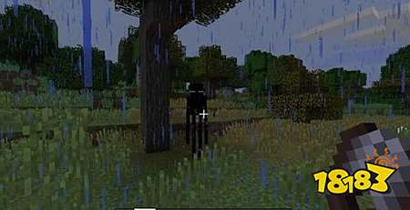 我的世界雨天才能见到的6种生物行为你见过吗