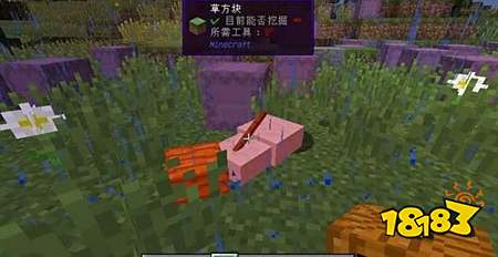 我的世界雨天才能见到的6种生物行为你见过吗