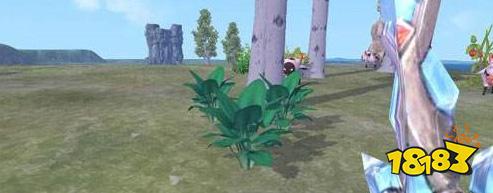 创造与魔法菠菜食谱 菠菜获取指南