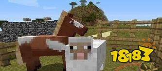 我的世界怎么驯服动物 动物的养法攻略详解